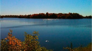 size_810_16_9_Ilha_no_Lago_O_Dowd_nos_Estados_Unidos